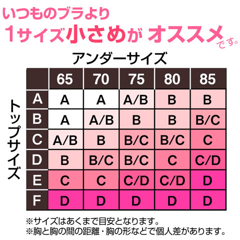 ブラの説明