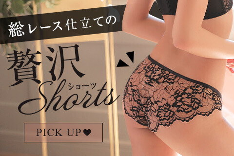総レースショーツ
