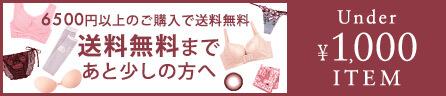 送料無料まであと少し！1000円以下のアイテム