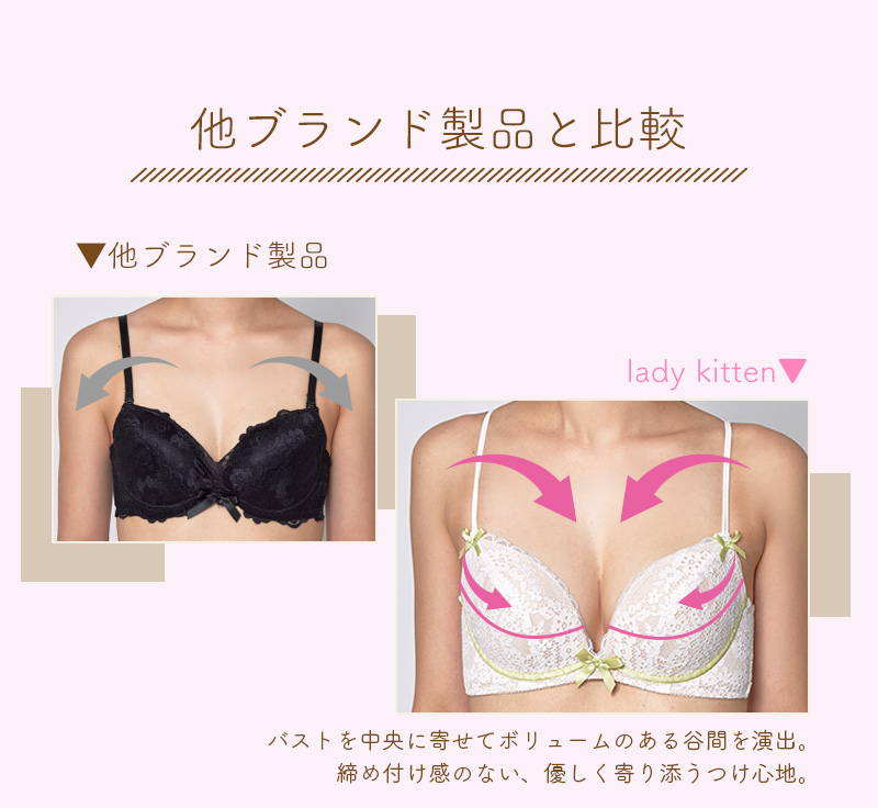 レディキトゥン