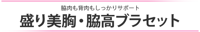 機能性にもこだわった充実の育乳脇高ブラ