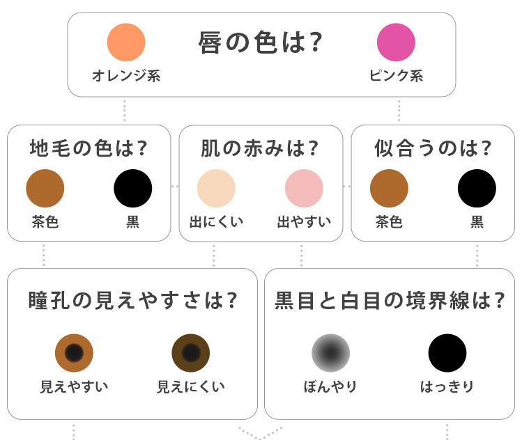 セルフチェック