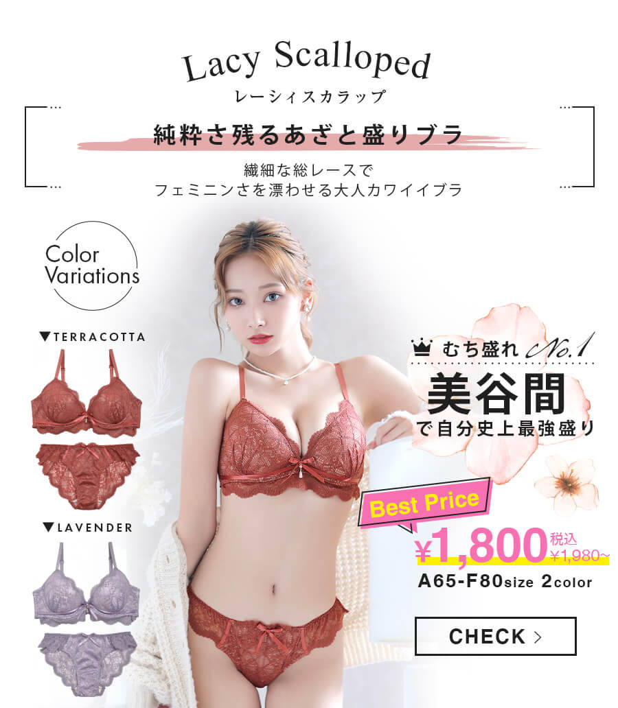 レーシィスカラップブラジャー&バック透けフルバックショーツ