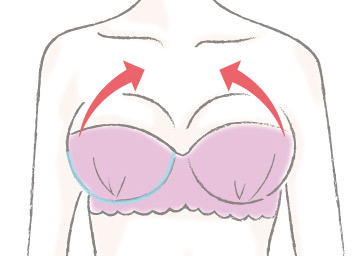 ハーフカップ