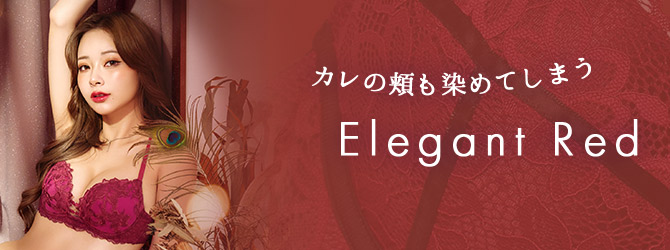 【Reinest】ラフィネアマリリスブラジャー&バック透けTバックショーツ