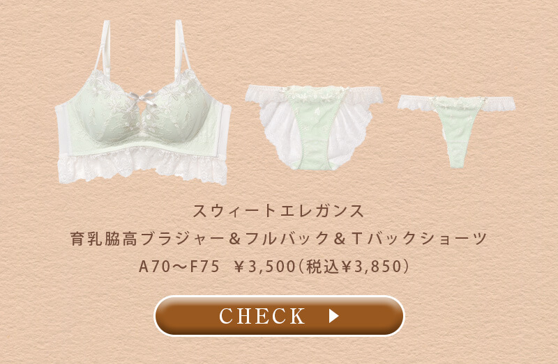 【百瀬まりなプロデュース】【3点セット】W盛り★スウィートエレガンス育乳脇高ブラジャー&フルバック&Tバックショーツ