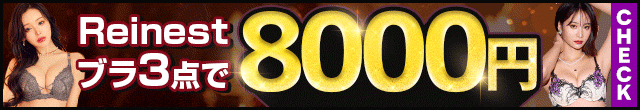 レイネスト3点8000円