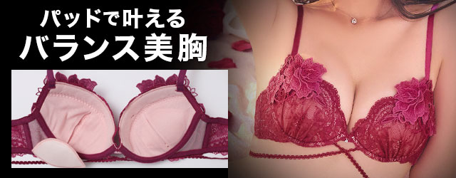 付属パッド