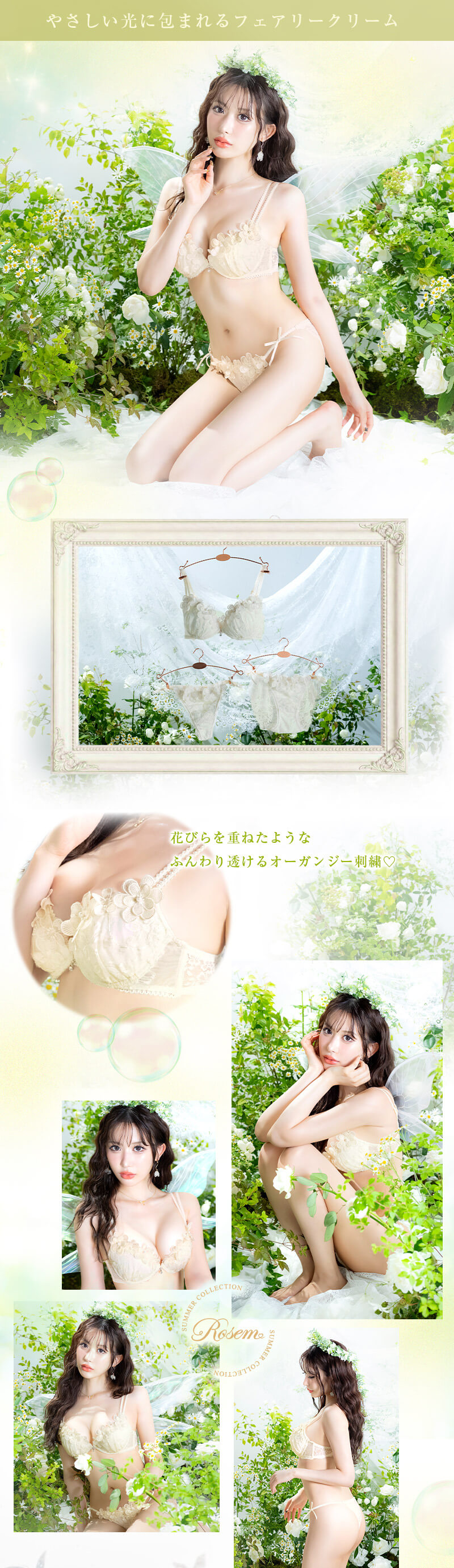 フェアリーコロンブラセット