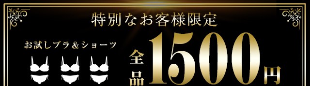 お試しブラ