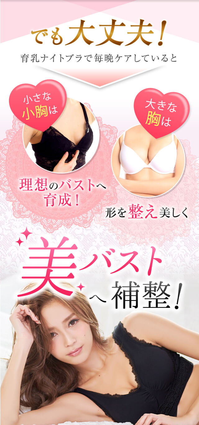 ナイトブラ