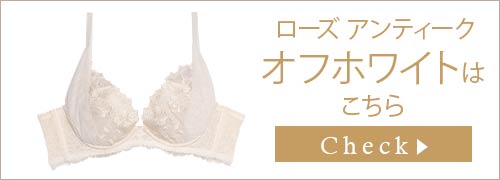 ブラジャー&ショーツ