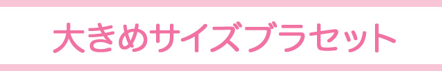 E～Iカップの大きめサイズブラセット