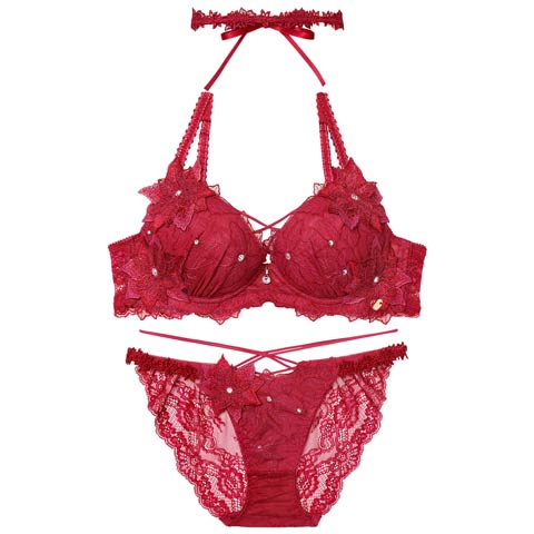 11/7新作!【明日花キララプロデュース/WhipBunny】Brilliant Poinsettia Bra&Shorts / ブリリアントポインセチアブラ＆ショーツ(ポインセチア レッド-B65/ショーツM)