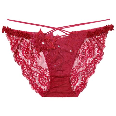 11/7新作!【明日花キララプロデュース/WhipBunny】Brilliant Poinsettia Shorts / ブリリアントポインセチアショーツ(ポインセチア レッド/フルバック-M)