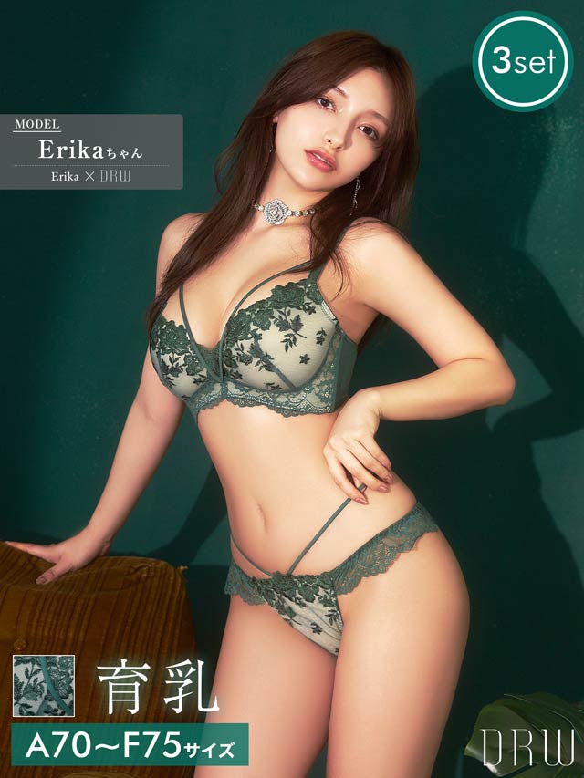 【Erikaプロデュース】【3点セット】エレガントブルーム育乳脇高ブラジャー&フルバック&Tバックショーツ