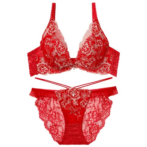 12/3新作!【伊藤桃々プロデュース/Rosem】リッチラメローズブラセット/ルビーレッド(ルビーレッド/フルバック-A65/ショーツM)