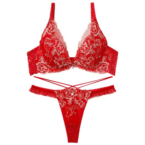 12/3新作!【伊藤桃々プロデュース/Rosem】リッチラメローズブラセット/ルビーレッド(ルビーレッド/Ｔバック-A65/ショーツM)