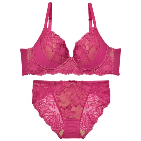 10/31新作!【ダレノガレ明美プロデュース/GARRONE】Masquerade Luxury Bra＆shorts マスカレードラグジュアリーブラ＆バック透けフルバック(ワインレッド-B65/ショーツM)