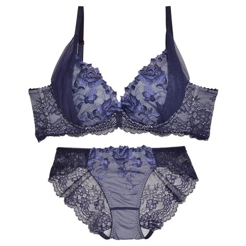 10/31新作!【ダレノガレ明美プロデュース/GARRONE】rose antique bra＆shorts ローズ アンティーク ブラ＆バック透けフルバック(ネイビー-B65/ショーツM)