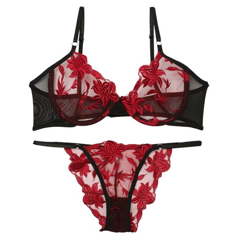 9/18再販![CARRIEFRANCA]シアーメッシュエンブロイダリーブラセット［大人気］(ワインレッド-S)