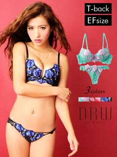 【Regalo】アシメ型ショーツ付エレガントなROSE刺繍シフォンブラジャー&Tバック/SEXY