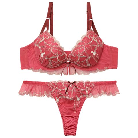 2/11新作!ドリーミーキャットブラジャー&Tバックショーツ［大人気］(レッド-A70/ショーツM)