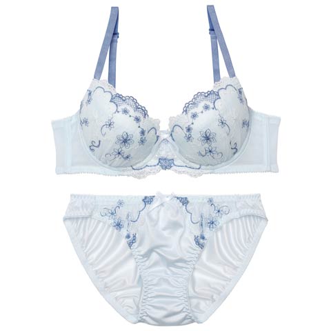 フェミニンメッシュレーシィブラジャー&フルバックショーツ［大人気］(サックス-B65/ショーツM)