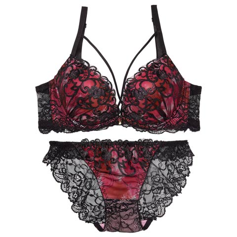 ルミナスアイビーコード育乳脇高ブラジャー&バック透けフルバックショーツ［大人気］(レッド-A70/ショーツM)