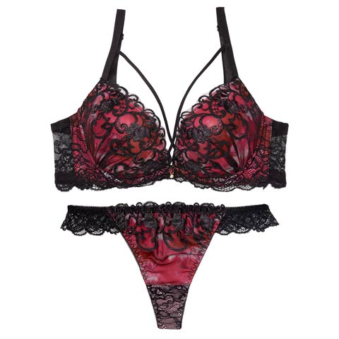 ルミナスアイビーコード育乳脇高ブラジャー&バック透けTバックショーツ［大人気］(レッド-A70/ショーツM)