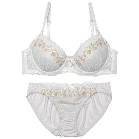 【EFサイズ】フルーロンプリティーレースブラジャー&フルバックショーツ［大人気］(グレー-E65/ショーツM)