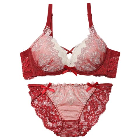 12/12新作!エレガントエンブロイダリー育乳脇高ブラジャー＆バック透けフルバックショーツ［大人気］(レッド-A70/ショーツM)