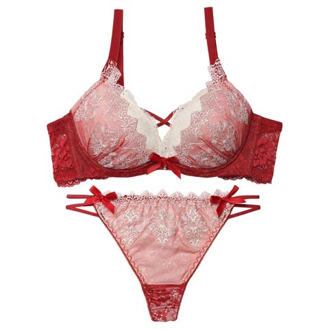 12/12新作!【EFサイズ】エレガントエンブロイダリー育乳脇高ブラジャー＆バック透けTバックショーツ［大人気］(レッド-E65/ショーツM)
