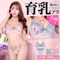 【EFサイズ】クラシカルローズレース育乳脇高ブラジャー&フルバック