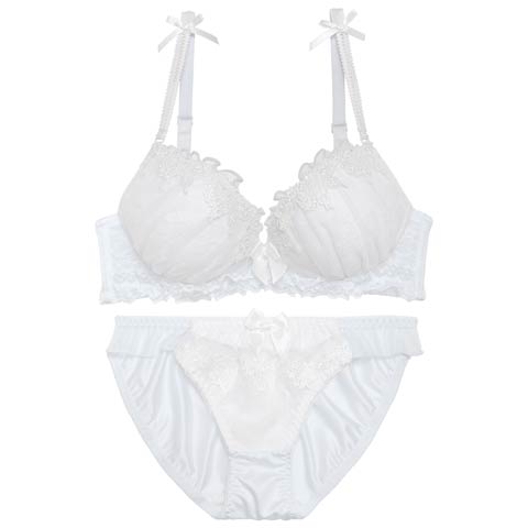 【ノンワイヤー】パピヨンケミカルレースブラジャー&フルバックショーツ［激売れ］(サックス-M)