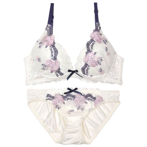 エレガンスシアーレース育乳脇高ブラジャー&バック透けフルバックショーツ