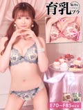 【EFサイズ】ファンシーフルールリボン育乳脇高ブラジャー&フルバックショーツ