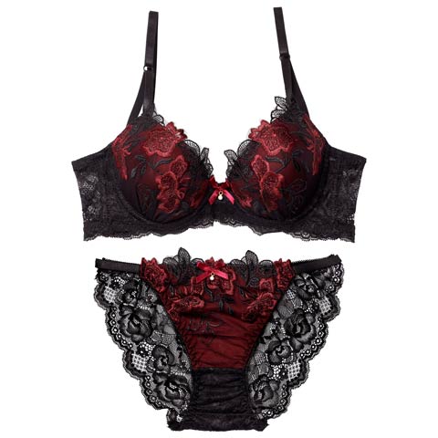 12/9再販ダスティブルームエンブロイダリー育乳脇高ブラジャー&バック透けフルバックショーツ［激売れ］(レッド-A65/ショーツM)