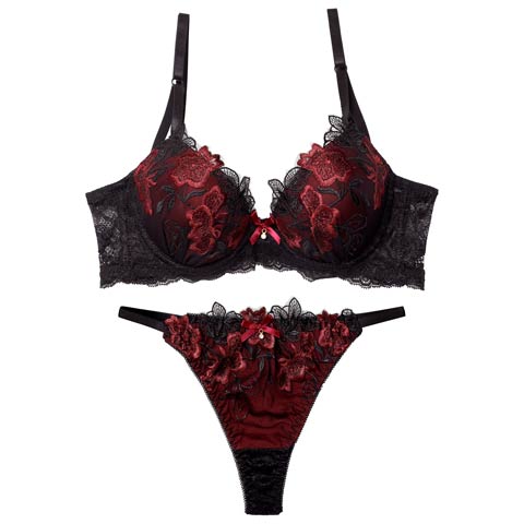 12/9再販!【EFサイズ】ダスティブルームエンブロイダリー育乳脇高ブラジャー&バック透けTバックショーツ［大人気］(レッド-E65/ショーツM)