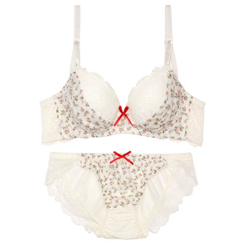プティフラワーシフォン育乳脇高ブラジャー＆フルバックショーツ