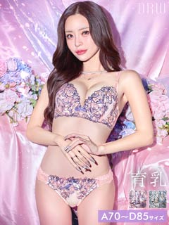 11/26新作!ロマンティックシャイニーローズ育乳脇高ブラジャー&フルバックショーツ［激売れ］