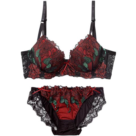 12/8新作!【三上悠亜着用】【EFサイズ】ゴージャスディープローズ育乳脇高ブラジャー&フルバックショーツ［大人気］(ワインレッド-E65/ショーツM)