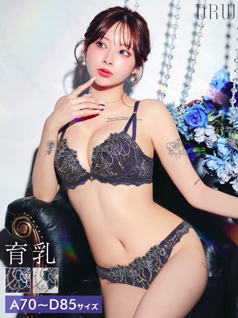 ロイヤルチェインローズ育乳脇高ブラジャー&フルバックショーツ