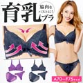 【3点セット】脇高ワンカラー総レースブラジャー＆透けフルバック＆Tバックショーツ