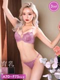 【3点セット】グラマーレーシィコード育乳脇高ブラジャー&バック透けフルバック&Tバックショーツ