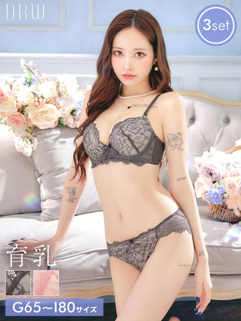 2/4新作!【3点セット】【GHIサイズ】フェミニンシンプルレース育乳脇高ブラジャー&フルバック&Tバックショーツ［大人気］