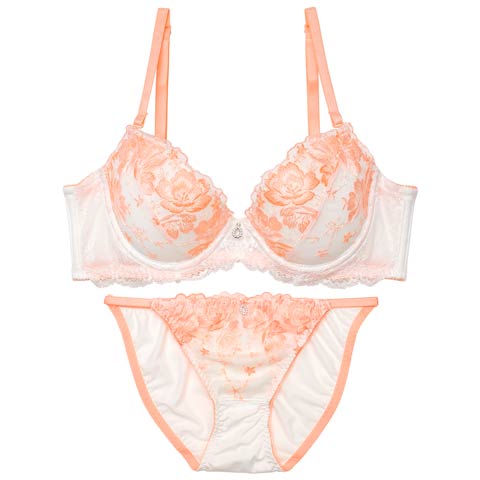 ピュアフローラルガーデン育乳脇高ブラジャー&フルバックショーツ