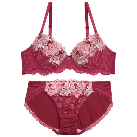 10/13新作!【GHIサイズ】グレイスローズブルームブラジャー&フルバックショーツ［大人気］(レッド-G65/ショーツM)