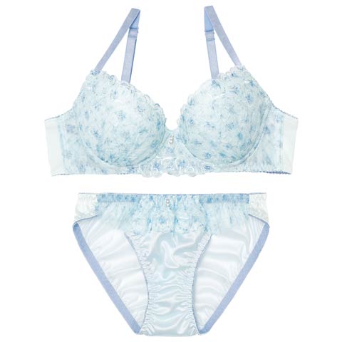 12/3新作!フェアリーメロウフルールブラジャー&フルバックショーツ［激売れ］(ブルー-A70/ショーツM)