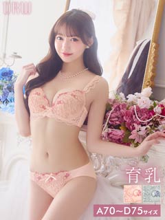 4/20新作!フェミニンアイビーエンブロイダリー育乳脇高ブラジャー&フルバックショーツ［激売れ］